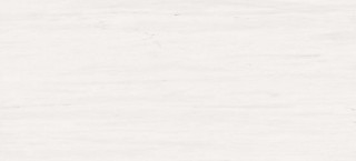 Atlas Concorde Marvel Stone Bianco Dolomite 50х110
