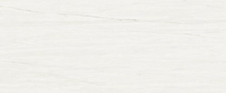 Atlas Concorde Marvel Stone Bianco Dolomite 50х120