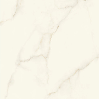 Atlas Concorde Marvel X Calacatta Apuano Silk 120x120