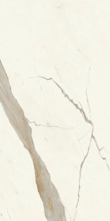 Atlas Concorde Marvel X Calacatta Sublime Matt 60x120