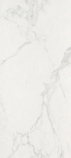Atlas Concorde Marvel Calacatta 50x110