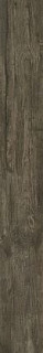 Atlas Concorde Nash Dark Oak 18,5x150