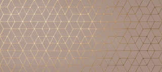 Atlas Concorde Mek Rose Hexagon 50x110