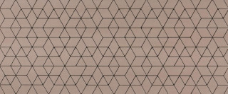 Atlas Concorde Mek Rose Hexagon 50x120
