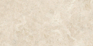 Atlas Concorde Nyra Hay Field Matte 40x80H0.85