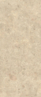 Atlas Concorde Nyra Ambrosia Matte 6mm 120x278H0.6