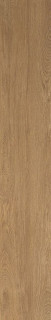 Atlas Concorde Nid Whisky Matt 25x150