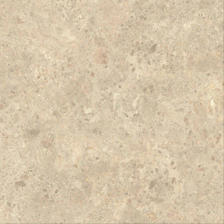Atlas Concorde Nyra Ambrosia Matte Sensitech 120x120H0.9