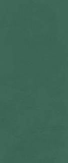 Atlas Concorde Prism Emerald 50x120