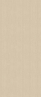 Atlas Concorde Vest Ecru Matte 6mm 120x278H0.6