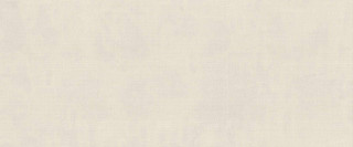 Atlas Concorde Vest Cotton Matte 50x120H0.85
