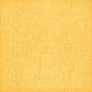 Bardelli Colorado B2 40x40