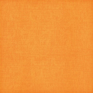 Bardelli Colorado C2 40x40