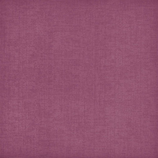 Bardelli Colorado C4 40x40