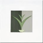Bardelli Evergreen 104 20x20