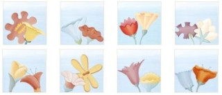 Bardelli I Fiori di Alice 7 BE 20x20