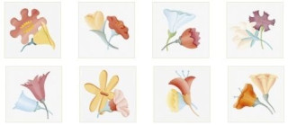 Bardelli I Fiori di Alice 1 BE 20x20