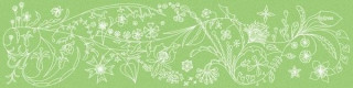 Bardelli Primavera Colore Platinum B8 10x40
