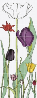 Bardelli Tuli-poni 3 60х160