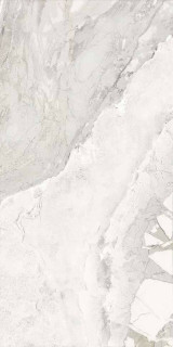Bottega Blend White Natural Ret 60x120H0.85