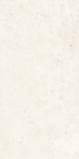 Bottega Lithoteke French Stone Honed Rt 60x120H0.85