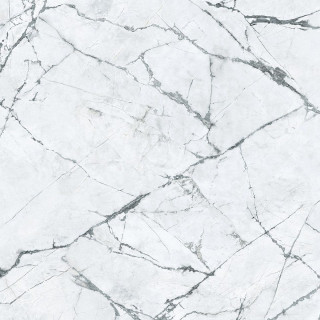 Caesar Anima Ever Magnificent White Luc 80x80