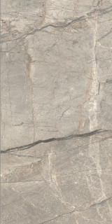 Caesar Anima Futura Amazing Silver 60x120