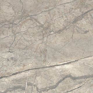 Caesar Anima Futura Amazing Silver 60x60