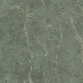 Caesar Anima Ever Sage Green Luc 120x120