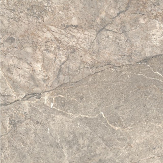 Caesar Anima Futura Amazing Silver Luc 60x60
