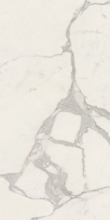 Caesar Anima Futura Majestic White 60x120
