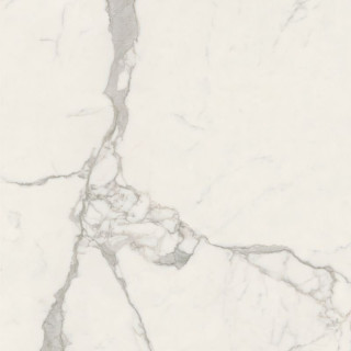 Caesar Anima Futura Majestic White Luc 80x80