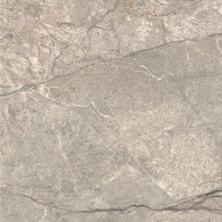 Caesar Anima Futura Amazing Silver Luc 80x80