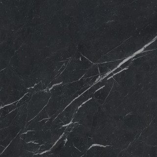 Caesar Anima Futura Unique Black Luc 80x80