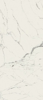 Caesar Anima Statuario Silk 120x278