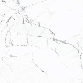 Caesar Anima Statuario Silk 120x120