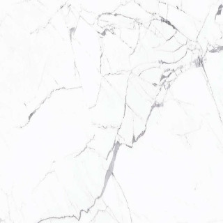 Caesar Anima Statuario Luc 120x120