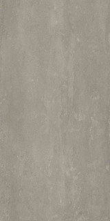 Caesar Civic Vein Silent Matt RT R10B 60x120H0.9