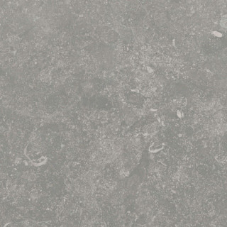 Caesar Extra C Mons 30mm RT 60x60