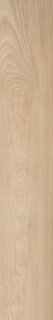 Caesar Fabula Ulmus RT 20x120