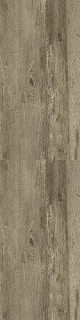 Caesar Extra C Honey 20mm RT 30x120