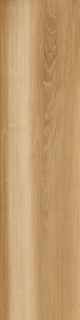 Caesar Life Oak 30x120