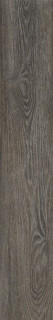 Caesar Meet Eclectic Brown RT 20x120
