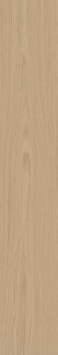 Caesar Pure Sheer Matt RT 20x120H0.9