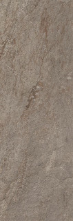 Caesar Quartz Essence Wild 20x60