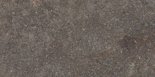 Caesar Shapes Of It Lavis Out 30x60