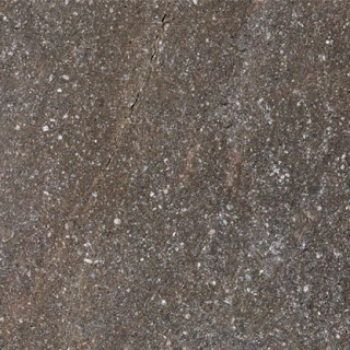 Caesar Shapes Of It Lavis 22,5x22,5