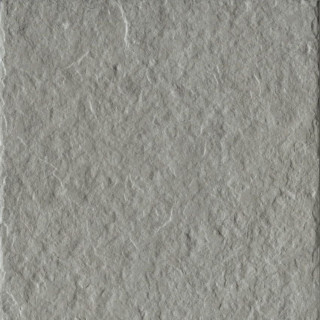 Caesar Step Out Grey 30x30