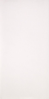 Casalgrande Marmoker Canova Lucido 59Х118