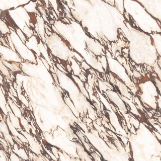 Casalgrande Marmora Pavonazzetto Honed 6mm 120x120H0.6